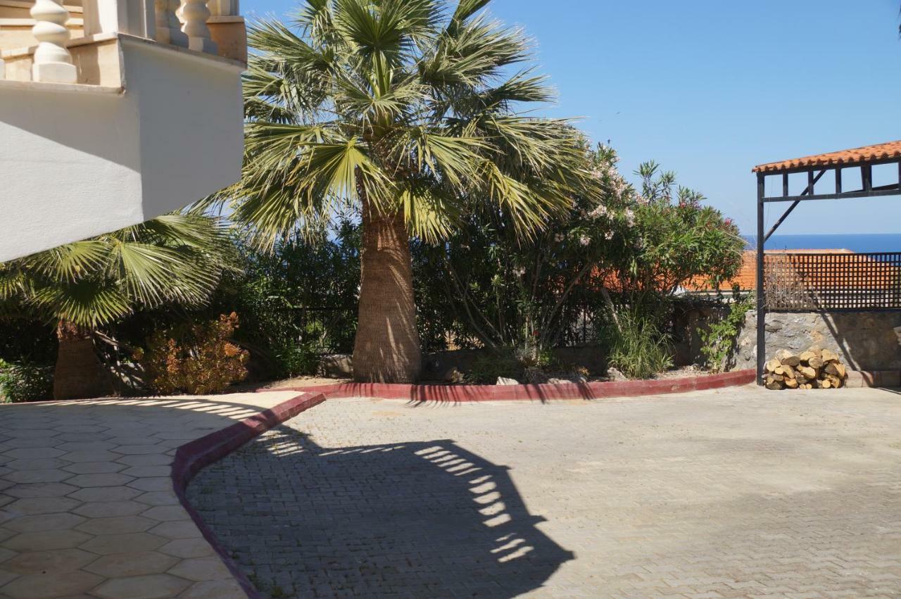 Villa Layla كيرينيا المظهر الخارجي الصورة