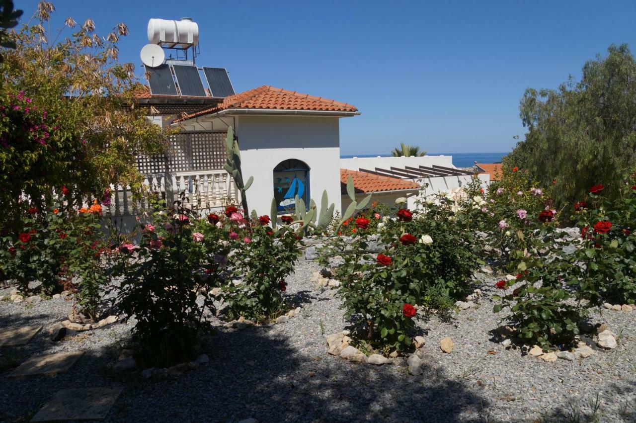 Villa Layla كيرينيا المظهر الخارجي الصورة